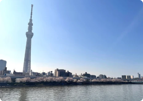 イメージ：浅草桜橋 風景