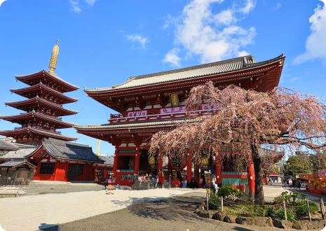 イメージ：浅草寺