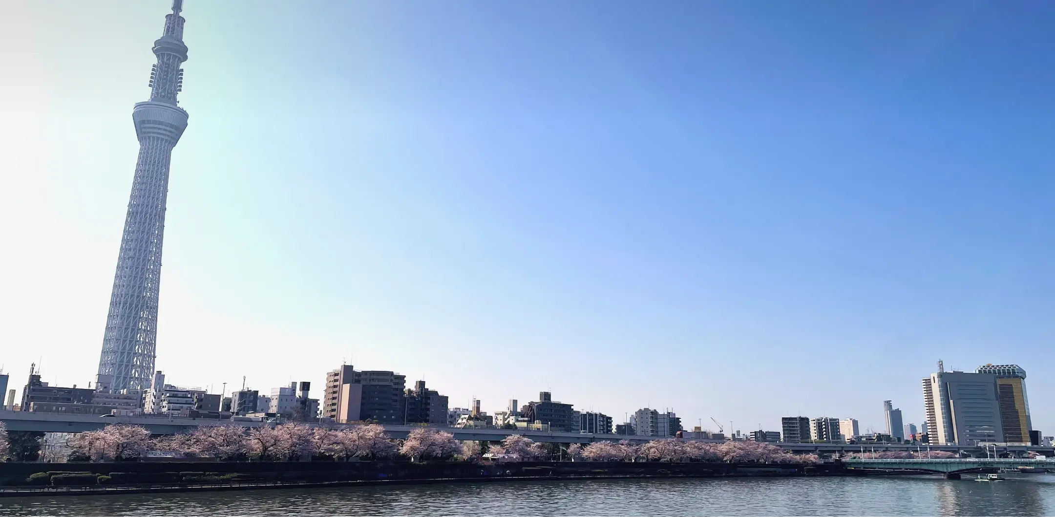 イメージ：アマネク浅草桜橋 エレベーター