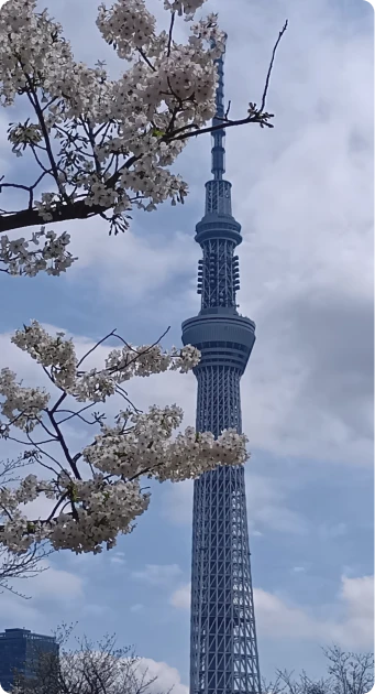イメージ： 浅草