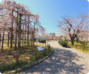 イメージ： 浅草寺