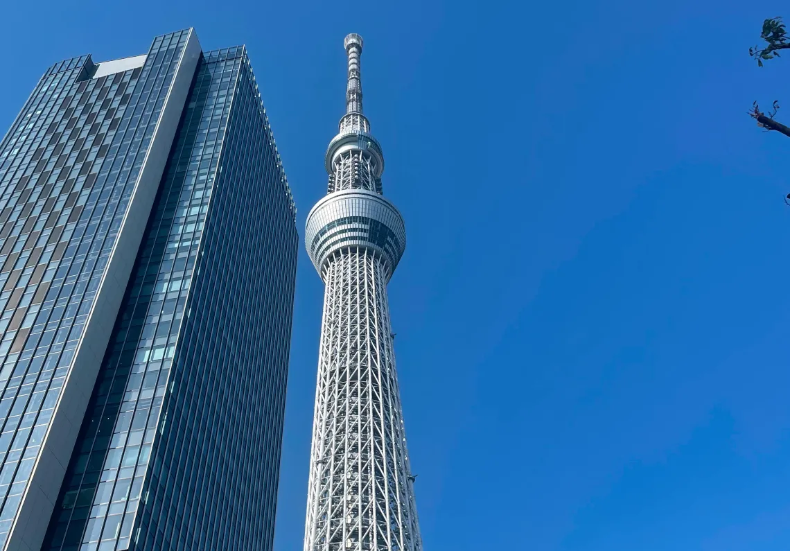 イメージ：スカイツリー
