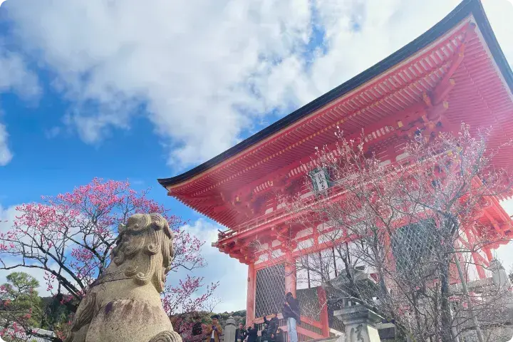 イメージ：清水寺