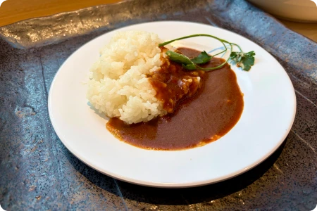 イメージ：ヴィーガンカレー