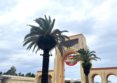 イメージ：周辺観光